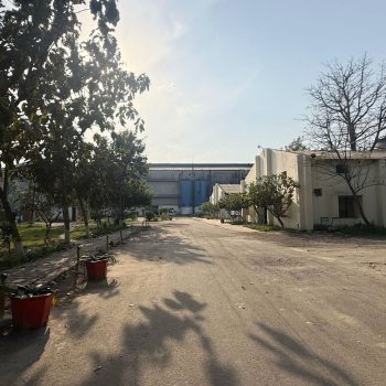 WhatsApp Image 2025-03-26 at 4.39.23 PM