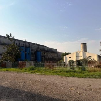 WhatsApp Image 2025-03-26 at 4.39.26 PM