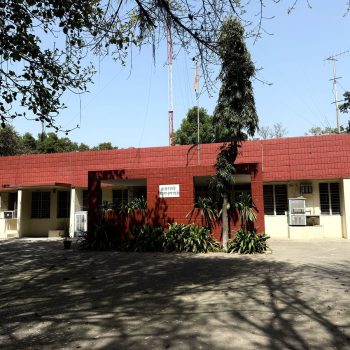 WhatsApp Image 2025-03-27 at 12.24.54 PM